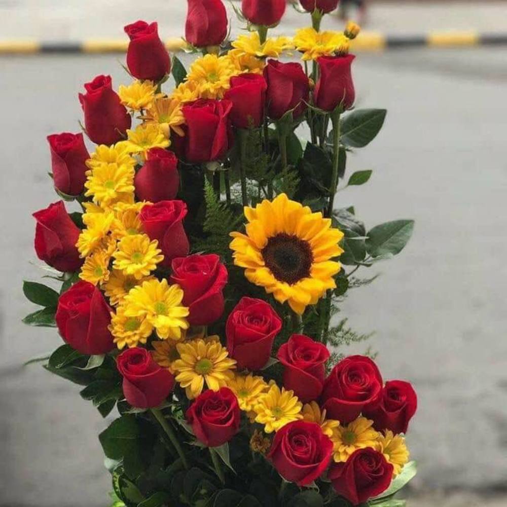 Meet your Posher, Berta